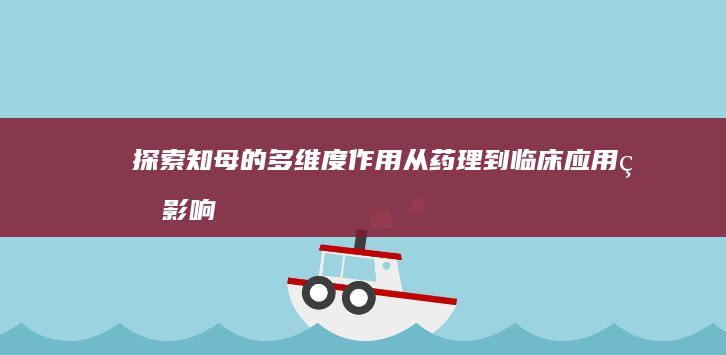 探索知母的多维度作用：从药理到临床应用的影响